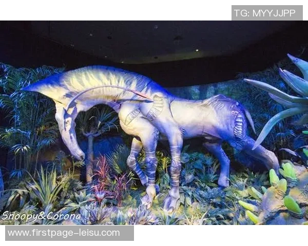 探索奥蓬达的魅力与神秘：揭开这座城市的历史与文化面纱